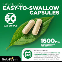Ashwagandha - 120 Capsules