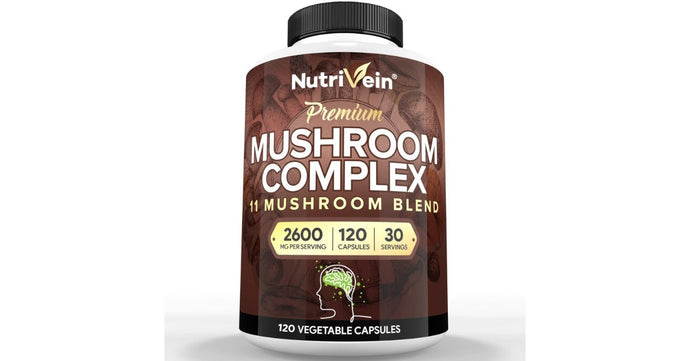 A Complete Guide to Mushroom Complex Supplements for Beginners